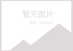 银川夏日能源有限公司